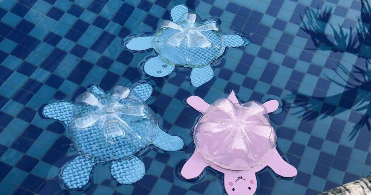 Đồ chơi tái chế từ chai nhựa - Chú rùa dễ thương