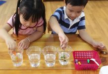 Giáo án STEAM 5E sự kỳ diệu của nước khám phá khoa học Giáo án STEAM 5E sự kỳ diệu của nước khám phá khoa học